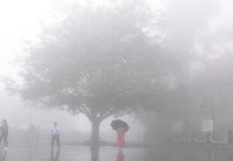 प्रदेश में लगातार पांच दिन बारिश-अंधड़ का येलो अलर्ट जारी