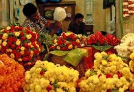 प्रदेश की पहली पुष्प मंडी का  परमाणु में अक्तूबर में होगा शुभारंभ