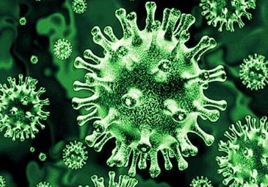  मध्य प्रदेश में सामने आया ‘ग्रीन फंगस’, मरीज़ को इंदौर से मुंबई किया गया एयरलिफ्ट 