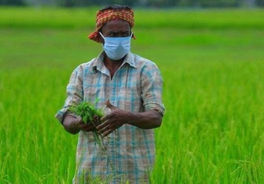 प्रदेश की हर पंचायत में लगेगी प्रधानमंत्री किसान सम्मान निधि के लाभार्थियों की सूची 