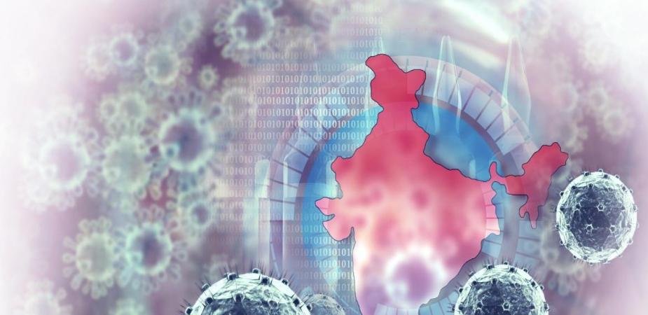 corona virus new cases total deaths