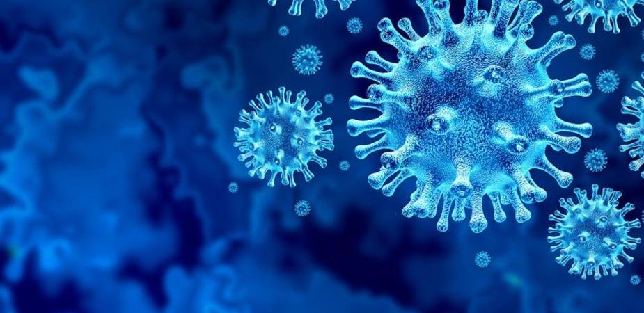 covid update new cases and death  