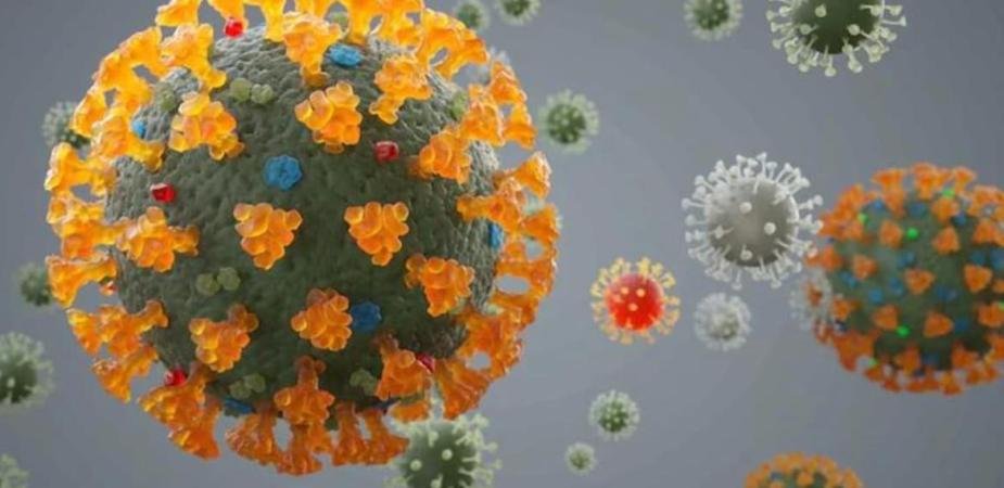 corona virus new delta plus variant 