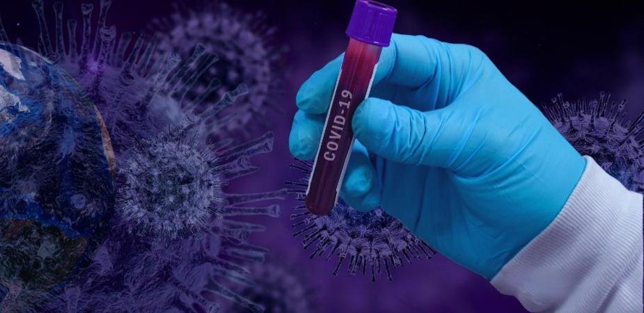 coronavirus update new cases and deaths 