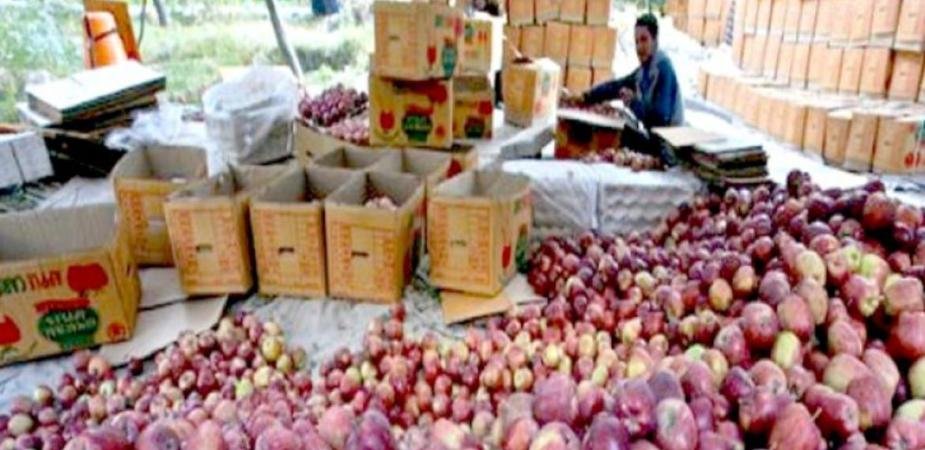 apple carton is now costlier by 5 to 10 rupees in himachal pradesh 