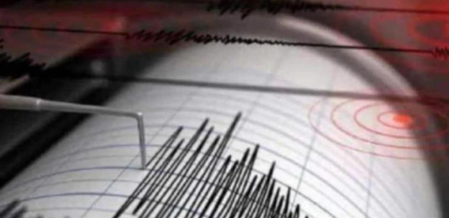Earthquake tremors felt in Ladakh, magnitude 4.6 on Richter scale