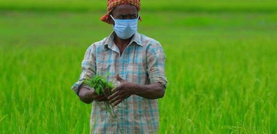 प्रदेश की हर पंचायत में लगेगी प्रधानमंत्री किसान सम्मान निधि के लाभार्थियों की सूची 